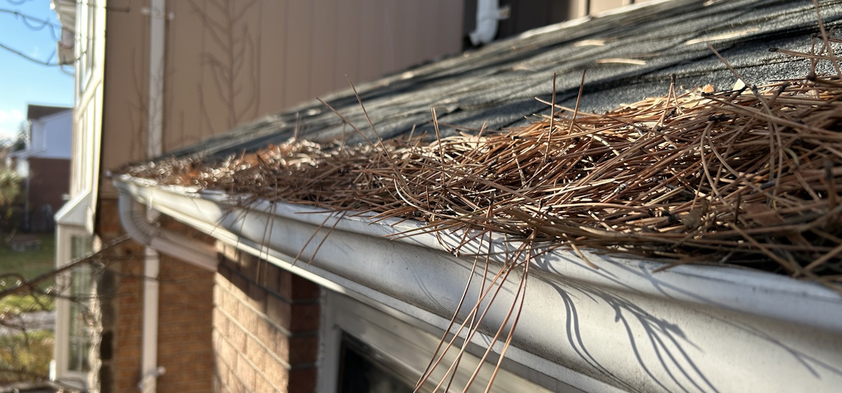 Professional Gutter Cleaning Services